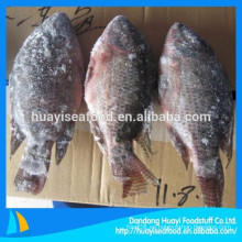 Tilapia entera escamoteada congelada